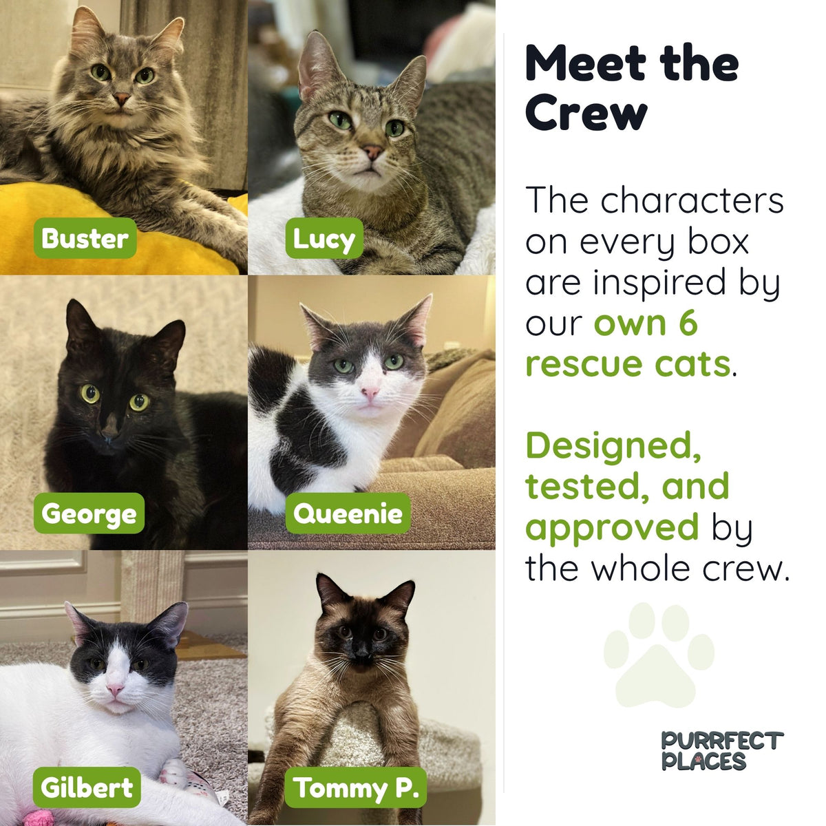 Meow Beach Sanctuary