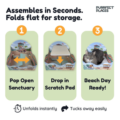 Meow Beach Sanctuary