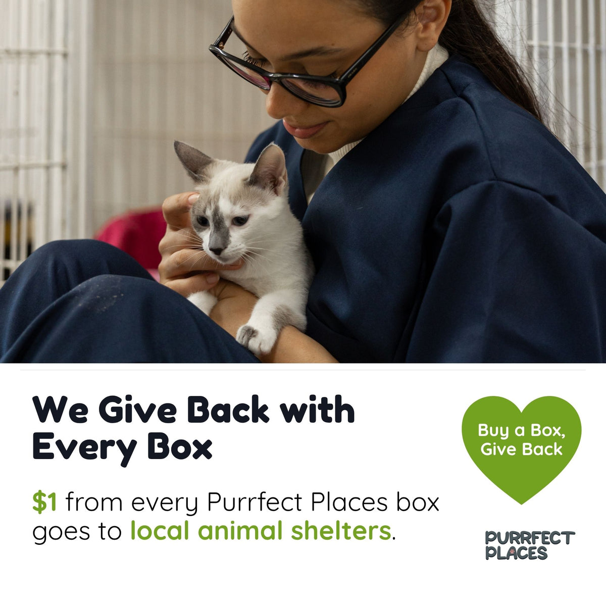 Meow Beach Sanctuary