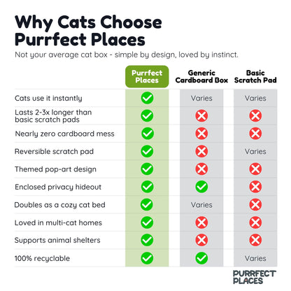 Meow Beach Sanctuary