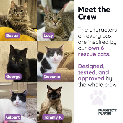 Meow Moon Sanctuary